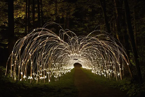 Write a thrilling story about a nine-tailed fox's encounter in a haunted forest at midnight.,drawing with light,light graffiti,light art,light painting,environmental art,lightpainting,light paint,ligh