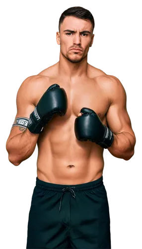 Muscular male, boxer, pitbull mix, aggressive posture, sweaty skin, intense gaze, boxing gloves, black trunks, athletic shoes, ripped muscles, tattoos on arms, serious facial expression, low-angle sho