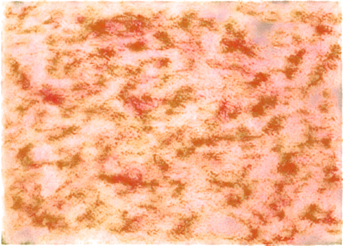 kngwarreye,seamless texture,biofilm,angioma,cytokeratin,epidermidis,lava,cocci,papules,orang,epidermis,yeasts,orange dots,beguiristain,hesperange,terrazzo,enterococci,biofilms,anomeritis,staphylococci,Unique,Paper Cuts,Paper Cuts 02