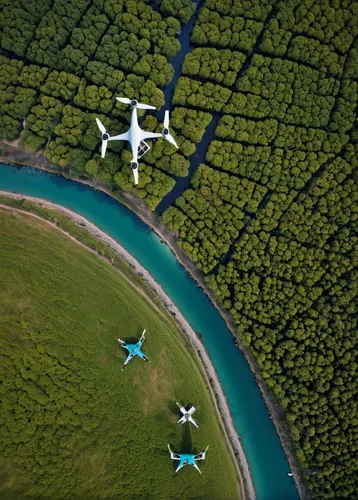 formation flight,diamond da42,rows of planes,air new zealand,overhead shot,concert flights,tandem gliders,aerial photography,flight image,sport aircraft,aerial landscape,parked boat planes,tandem flight,the pictures of the drone,aircraft take-off,tandem skydiving,aerial shot,dji,light aircraft,ultralight aviation,Photography,Documentary Photography,Documentary Photography 32