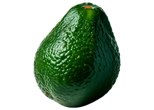 avacado,avo,avocado,poblano,aaa,pepino,avocados,feijoa,west indian gherkin,patrol,gherkin,cucumis,peperoncini,pointed gourd,rabihorcado,cucuzza squash,armenian cucumber,bitter gourd,cleanup,chayote,Art,Artistic Painting,Artistic Painting 22