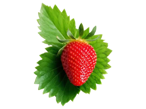 Ripe strawberry, red skin, green leafy top, juicy flesh, sweet aroma, macro shot, 1/2 composition, shallow depth of field, warm natural light, soft focus, vibrant color tone, still life, isolated on w