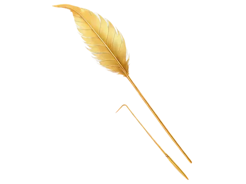 feather bristle grass,feather,spikelets,bird feather,quills,golden leaf,trumpet leaf,feather jewelry,suspended leaf,feather pen,bobby pin,chicken feather,prince of wales feathers,hawk feather,dried leaf,palm leaf,yellow nutsedge,quill,awesome arrow,hand draw vector arrows,Photography,Documentary Photography,Documentary Photography 24