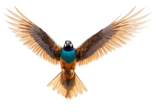 alcedo atthis,bird png,teal and orange,bird in flight,blue and gold macaw,kingfisher,bird flying,passerine,gouldian,bird illustration,colorful birds,common kingfisher,beautiful bird,blue-capped motmot,bird fly,falco peregrinus,passerine bird,macaws blue gold,piciformes,an ornamental bird,Photography,General,Sci-Fi