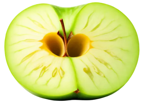 green apple,green kiwi,muskmelon,honey dew melon,kiwifruit,aaaa,honeydew,kiwi fruit,green apples,apple design,apple logo,green tomatoe,worm apple,gourmelon,jew apple,melon,water apple,apfel,piece of apple,apple core,Illustration,Retro,Retro 02