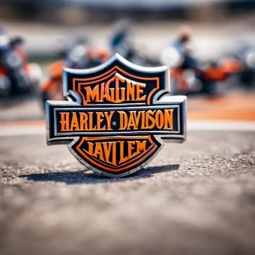 harley-davidson,harley davidson,helmet plate,harley,motorcycle racing,grand prix motorcycle racing,motorcycle accessories,head plate,motorcycle tours,motorcycle speedway,motorcycles,motorcycle racer,family motorcycle,logo header,motorcycle drag racing,badge,sr badge,motorcycle fairing,cafe racer,motorcycle battery,Unique,3D,Panoramic