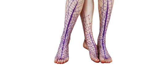 Broken blood vessels, legs, pale skin, spider veins, red purple colors, thin lines, intricate networks, ankles, calves, knees, thighs, close-up, shallow depth of field, soft natural light, realistic t