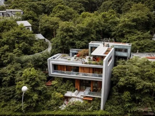 tree house hotel,house in the forest,dunes house,treetops,residential,eco hotel,luxury property,eco-construction,danyang eight scenic,modern architecture,tropical house,tigers nest,treehouse,chinese a