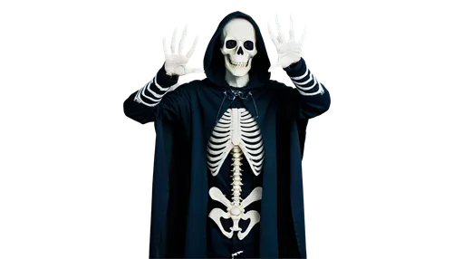 skeleltt,skeletal,skeleton hand,human skeleton,calcium,skeleton,grim reaper,danse macabre,bone,vintage skeleton,skeletons,bones,grimm reaper,death god,dance of death,scull,day of the dead skeleton,cross bones,png transparent,skull bones,Art,Classical Oil Painting,Classical Oil Painting 39