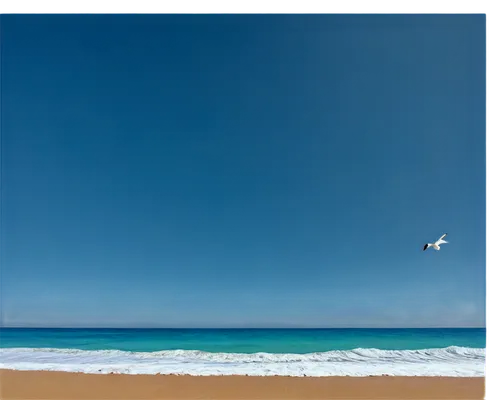 windows wallpaper,ocean background,beach background,seagull in flight,seagull,widescreen,seagull flying,ningaloo,beach landscape,spaciousness,shades of blue,seascape,minimised,taskbar,greens beach,mona vale,polarizer,kite boarder wallpaper,coolum,collaroy,Illustration,American Style,American Style 15