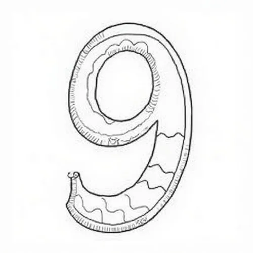 Design the number nine ('9') with a bold outline. The number should have a circular upper part and a downward tail. Inside the circular part, add wavy or zigzag lines to create sections for coloring. 