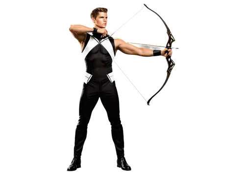 sephiroth,archer,aizen,shatterstar,wesker,swordmaster,longsword,rapier,swordswoman,silver arrow,fencer,reinprecht,swordsman,derivable,dronacharya,bow and arrows,antiope,longbow,praetor,fiyero,Illustration,Vector,Vector 18