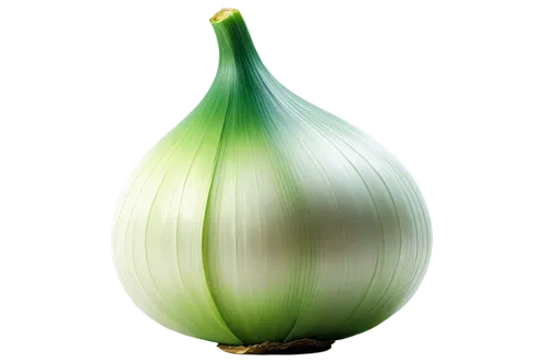 persian onion,welsh onion,bulgarian onion,scallion,endive,onion,pearl onion,leek,head of garlic,spring onion,cabbage,garlic bulb,kohlrabi,chinese garlic,yellow onion,herb quark,pointed gourd,hardneck garlic,garlic,figleaf gourd,Illustration,Realistic Fantasy,Realistic Fantasy 32