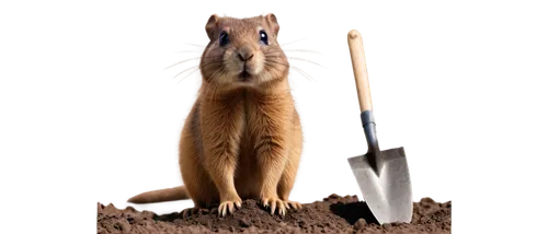 Gopher, small mammal, brown fur, whiskers, cute eyes, little nose, digging pose, front paws holding shovel, dirt scattered around, soft sunlight, warm color tone, shallow depth of field, 3/4 compositi