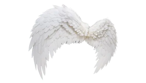 angel wings,angel wing,winged heart,crying angel,wings,winged,love angel,vintage angel,fallen angel,angelology,angel figure,angel’s tear,angel,business angel,guardian angel,angels,delta wings,uriel,wing,bird wings,Illustration,Japanese style,Japanese Style 13