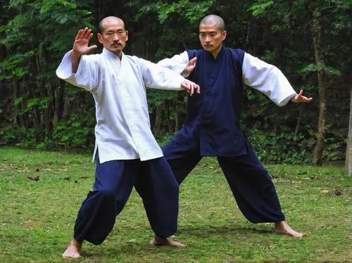 The Effective Qi Gong Routines of Wudang Sanfengpai,baguazhang,taijiquan,daitō-ryū aiki-jūjutsu,shorinji kempo,aikido,sōjutsu,qi gong,shaolin kung fu,kajukenbo,battōjutsu,kenjutsu,haidong gumdo,iaijut