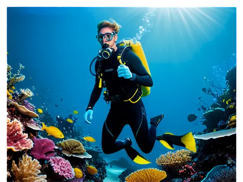 aquarist,underwater background,scuba,divemaster,scuba diving,cousteau,freediving,lemon doctor fish,subaquatic,buceo,marine tank,freediver,weißkehl doctor fish,nose doctor fish,doctor fish,reef tank,aquarists,snorkeling,oceanographer,snorkelling,Illustration,American Style,American Style 15