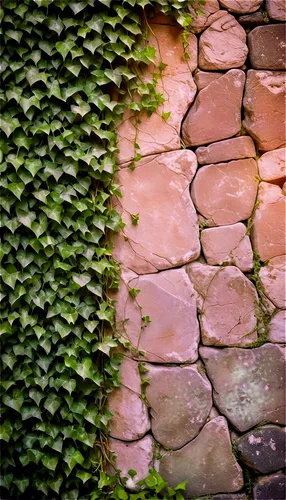 cobblestones,old wall,cobblestone,setts,wall,green wallpaper,wall texture,red bricks,espalier,mud wall,red brick wall,maidenhair,stone wall,wall of bricks,rustication,paving stones,cobbles,brick background,xerfi,cobblestoned,Conceptual Art,Fantasy,Fantasy 01