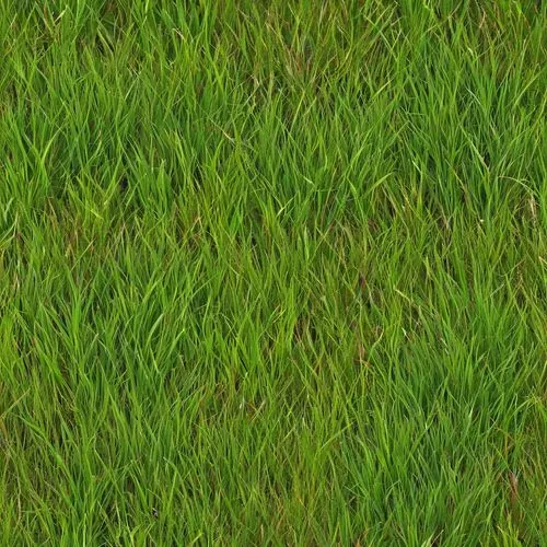 block of grass,zoysia,grass,gras,cordgrass,grass grasses,green wallpaper,grass blades,grassman,golf course grass,green grass,grassy,grasslike,long grass,paspalum,lawn,brick grass,green lawn,seamless texture,blooming grass,Illustration,Abstract Fantasy,Abstract Fantasy 10