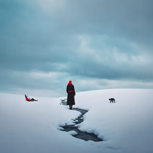 sled dog,snow fields,dog sled,snowfield,isolated,snow landscape,the polar circle,ice fishing,icelanders,antarctic,winter trip,winter landscape,antartica,boy and dog,arctic,conceptual photography,snow scene,stranded,frozen lake,snowy landscape,Photography,Documentary Photography,Documentary Photography 23