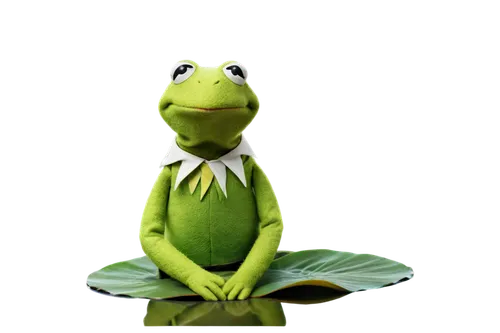 frog background,kermit,green frog,leaupepe,meditator,aaaa,patrol,kawaii frog,energex,frosch,kero,pascal,frog,greenie,kawaii frogs,pepe,ribbit,erkek,pond frog,litoria,Illustration,Realistic Fantasy,Realistic Fantasy 15