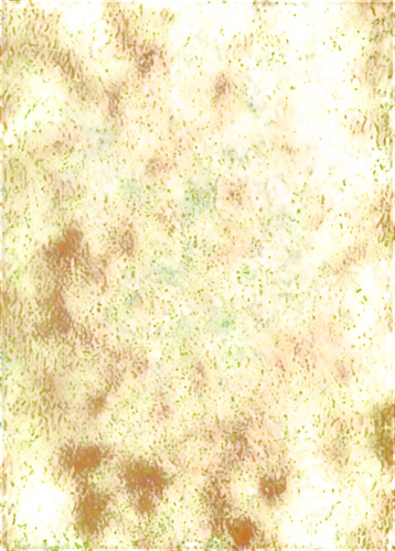 sunflower lace background,yellow wallpaper,kngwarreye,chrysanthemum background,flowers png,spring leaf background,crayon background,seamless texture,degenerative,dandelion background,generated,sunflower paper,background pattern,particle,floral digital background,coagulate,missing particle,illustris,anomeritis,abstract background,Illustration,Retro,Retro 15