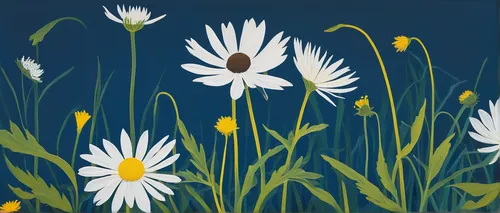 Incorporate Asteraceae into a fantasy world where mythical creatures use its pollen as a magical ingredient.,oxeye daisy,blue daisies,marguerite daisy,daisy flowers,white daisies,daisies,meadow daisy,