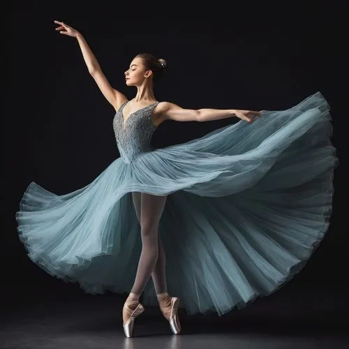 ballet tutu,ballerina,sylphide,ballet dancer,balanchine,sylphides,vishneva,vaganova,ballet pose,ballerina girl,pointes,ballet,capezio,kornelia,danseuse,ballerinas,fonteyn,gracefulness,tulle,aleynikov,Photography,Documentary Photography,Documentary Photography 14