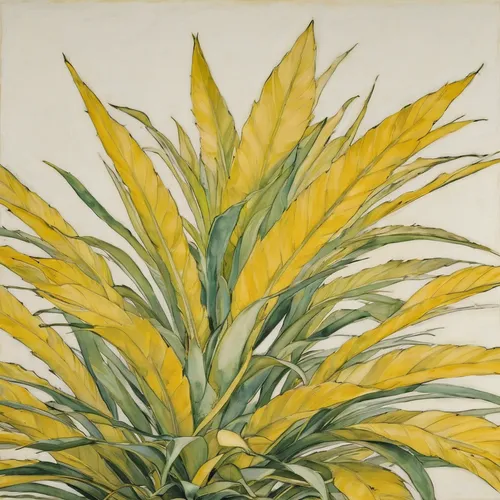 watercolor leaves,tropical leaf pattern,yucca palm,foliage coloring,yellow nutsedge,tropical leaf,palm lilies,foliage leaves,palm leaves,sabal palmetto,palm lily,foliage leaf,pineapple lily,cycad,pineapple lilies,lemongrass,watercolor leaf,palm pasture,foliage,watercolour leaf,Conceptual Art,Oil color,Oil Color 15