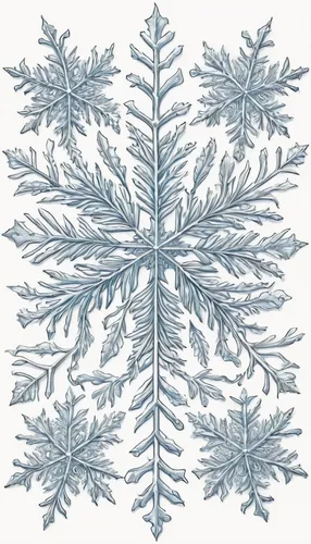 snowflake background,christmas snowflake banner,christmas tree pattern,blue snowflake,christmas pattern,snowflake,watercolor christmas pattern,wreath vector,white snowflake,snow flake,christmas motif,snowflakes,christmas snowy background,hoarfrost,fir branches,snowflake cookies,ice crystal,fir tree decorations,fir-tree branches,snow drawing,Illustration,Black and White,Black and White 13