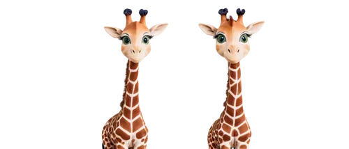 two giraffes,giraffes,woodhoopoes,hoopoes,giraffa,tridents,longnecks,giraffe,fawns,necks,tribal arrows,straw animal,giraffe plush toy,melman,gazella,longicornis,limb males,long necked,gazelles,garridos,Art,Artistic Painting,Artistic Painting 39