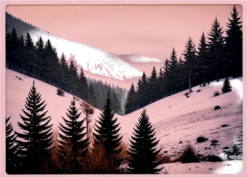 Winter landscape, snowy mountains, foggy atmosphere, pine trees, snowflakes gently falling, frosty air, misty valley, serene ambiance, soft focus, warm color tone, panoramic view, 3/4 composition, sha