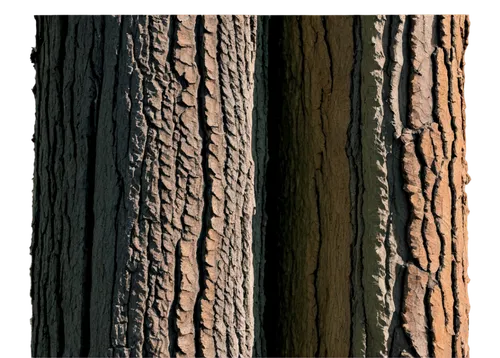 tree texture,wood texture,wood background,sterculiaceae,tree bark,wooden background,birch trunk,ornamental wood,seamless texture,natural wood,tree trunk,pseudotsuga,wood,tree slice,teakwood,bark,stringybark,slice of wood,stumpel,treecreepers,Art,Artistic Painting,Artistic Painting 51