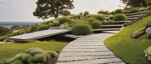 landscape designers sydney,landscape design sydney,garden design sydney,grass roof,moss landscape,climbing garden,landscaped,roof landscape,winding steps,roof garden,landscaping,sempervirens,terraces,artificial grass,turf roof,tree top path,buxus,terraced,stone stairs,xerfi,Illustration,Realistic Fantasy,Realistic Fantasy 09