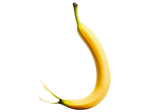 saba banana,banana peel,banana,monkey banana,nanas,banana tree,banana cue,yellow pepper,bananas,banana plant,banana apple,chile de árbol,serrano pepper,peperoncini,carambola,yellow peppers,ripe bananas,shofar,schisandraceae,ylang-ylang,Illustration,Paper based,Paper Based 22