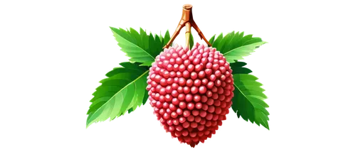 pitahaya,pitahaja,pitaya,musa,ananas,bunya,pinya,ornamental corn,maize,noni,sorghum,aesculus,plantarum,coyuca,alpinia,sili,acorn,pineapple plant,pomerelian,guayaba,Unique,Pixel,Pixel 01