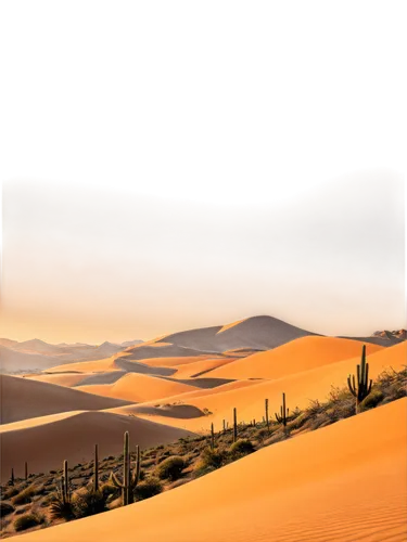 desert desert landscape,desert landscape,dune landscape,desert background,desert,crescent dunes,capture desert,the desert,arid landscape,deserto,sand dunes,san dunes,semidesert,libyan desert,dunes,desertlike,sand dune,sandplains,argentina desert,sahara desert,Illustration,Realistic Fantasy,Realistic Fantasy 07