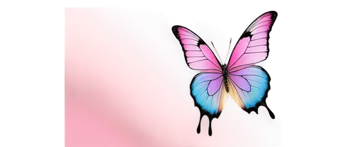 butterfly clip art,butterfly vector,pink butterfly,butterfly background,cupido (butterfly),butterfly,hesperia (butterfly),papillon,flutter,butterfly wings,blue butterfly background,butterflay,isolated butterfly,sky butterfly,butterfly floral,butterfly isolated,ulysses butterfly,vanessa (butterfly),c butterfly,limenitis,Conceptual Art,Daily,Daily 09