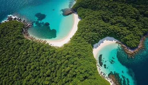 fiji,aerial view of beach,seychelles,shipwreck beach,tropical island,raja ampat,tropical beach,caribbean,the caribbean,tropical greens,greens beach,jamaica,cayo santamaria,tropical sea,cayo levantado,beautiful beaches,brazilian beach,southern island,andaman sea,moorea,Photography,General,Realistic