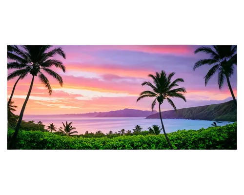 Hawaiian wallpaper, tropical beach, sunset sky, palm trees, floral patterns, vibrant colors, exotic plants, warm lighting, soft focus, 3/4 composition, shallow depth of field, panoramic view, detailed