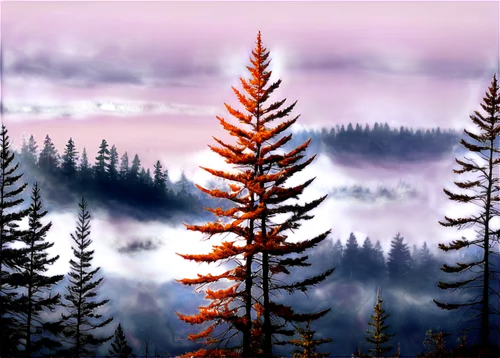 9 ratio, detailed texture, realistic atmosphere, misty fog.,watercolor pine tree,spruce-fir forest,larch forests,coniferous forest,spruce forest,spruce trees,fir forest,larch trees,temperate coniferou