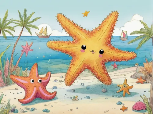 starfishes,sea star,starfish,sea creatures,marine invertebrates,sea-life,sea urchins,sea animals,star illustration,urchins,sea animal,echinoderm,baby stars,sea-urchin,sea urchin,under the sea,sea cucumber,sea life,sea monsters,cephalopods,Illustration,Black and White,Black and White 29