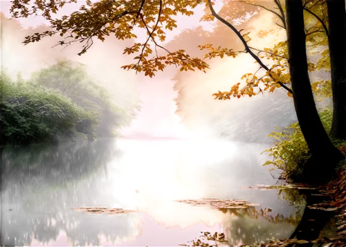 autumn idyll,autumn scenery,autumn landscape,brook landscape,river landscape,waterbody,photo painting,etherow,autumn background,nature background,autumn morning,autumn forest,waterscape,towpath,weiher,pond,one autumn afternoon,autumn sun,autumn day,river bank,Photography,Black and white photography,Black and White Photography 15