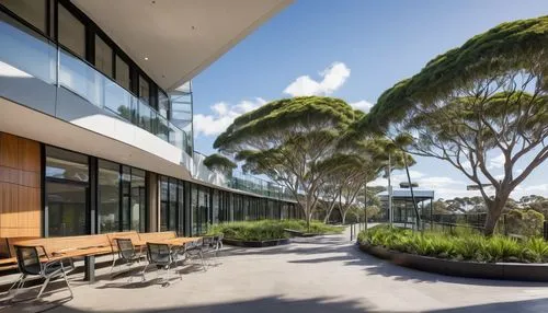 seidler,landscape design sydney,landscape designers sydney,medibank,ucsd,garden design sydney,joondalup,neutra,unsw,conservatorium,technion,eucalypts,wanneroo,dunes house,gum trees,sheoak,northbourne,redgum,karrinyup,northcott,Conceptual Art,Oil color,Oil Color 03