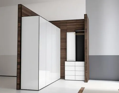 modern minimalist bathroom,walk-in closet,armoire,hinged doors,wardrobes,search interior solutions,Illustration,Black and White,Black and White 32