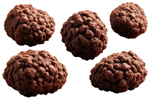 walnuts,chocolate balls,walnut,brigadeiros,pine cone pattern,spherules,rudraksha,douglas fir cones,allspice,acorn cluster,fir cone,vesicular,cocoa beans,seamless texture,common walnut,pinecones,black walnuts,pine cone,ovules,hazelnuts,Art,Classical Oil Painting,Classical Oil Painting 40