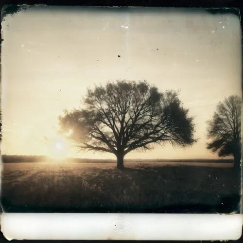 pinhole,lubitel 2,tintype,ampt,tintypes,calotype,Photography,Documentary Photography,Documentary Photography 03