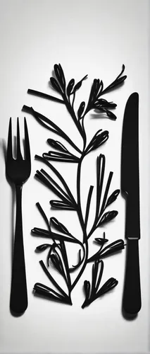 eco-friendly cutlery,cutlery,silver cutlery,garden fork,flatware,utensils,reusable utensils,knife and fork,forks,fork,tableware,black plates,dinnerware set,utensil,dinner-plate magnolia,serveware,kitchen utensils,place setting,food styling,digging fork,Illustration,Black and White,Black and White 33