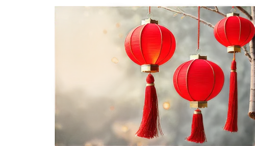 oriental lantern,christmas lantern,red lantern,hanging lantern,lanterns,guobao,furin,lantern string,japanese paper lanterns,christmas bells,jinbao,spring festival,christmas bell,japanese lantern,asian lamp,hanging decoration,fairy lanterns,jingbao,fir tree decorations,quince decorative,Conceptual Art,Oil color,Oil Color 05