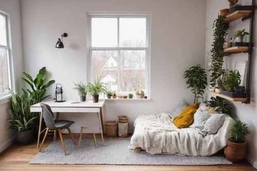 scandinavian style,winter window,sunroom,house plants,houseplants,home corner,coziness,indoor,cozier,window sill,danish room,shared apartment,interior design,windowsill,roominess,bay window,houseplant,home interior,hallway space,furnishing,Photography,Documentary Photography,Documentary Photography 26